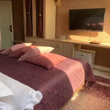Villa-sofia Mini-hotel