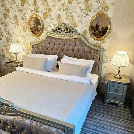 Villa-sofia Mini-hotel 宾馆